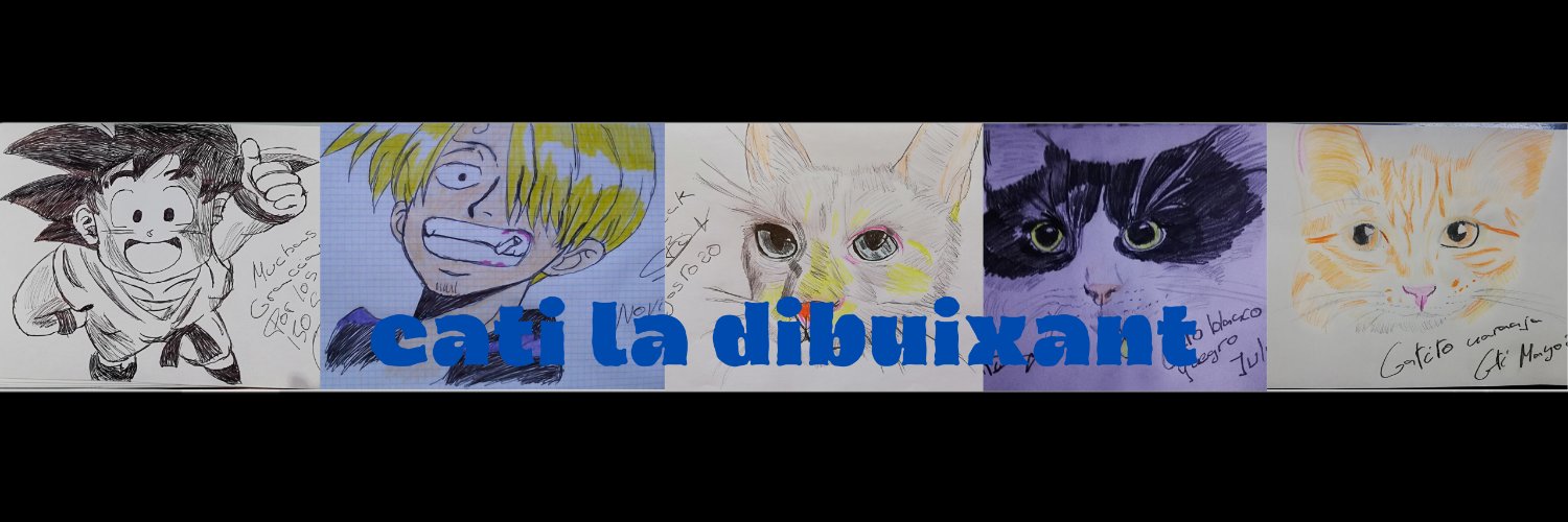 caticat84's profile banner image