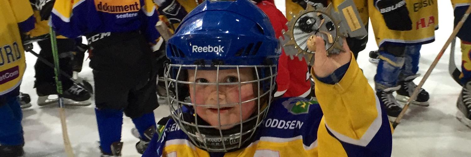 skjellet's profile banner image