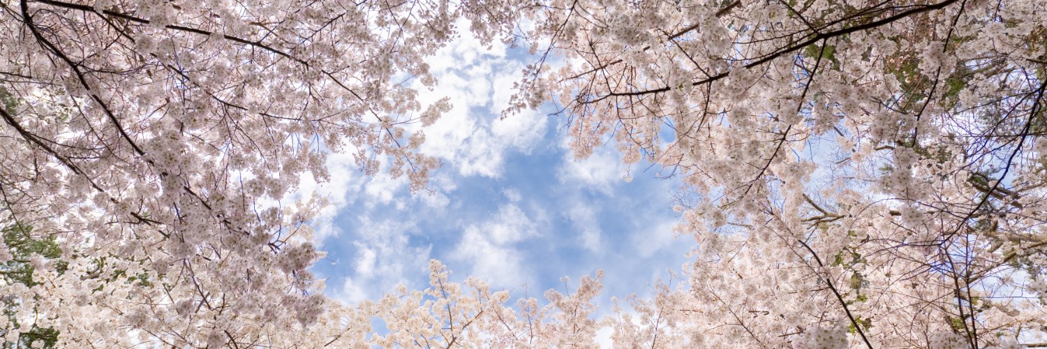 durhammag's profile banner image