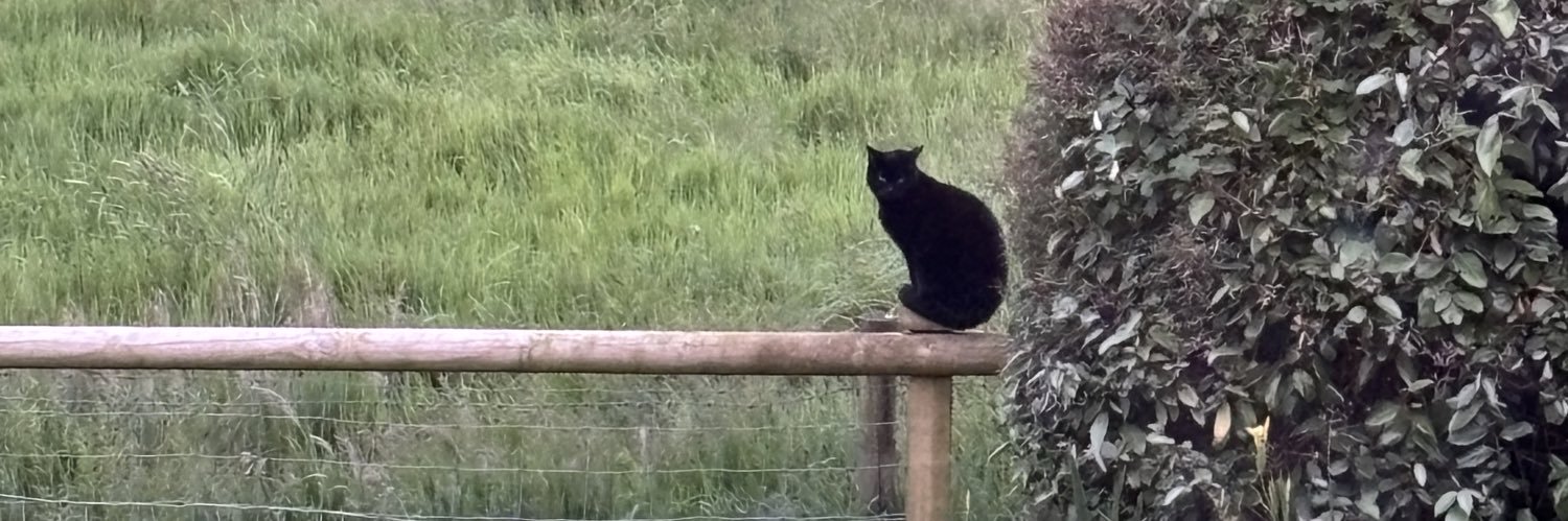 Mole, Liz, Max 🌈 and a Ghost 👻🐾🐾 banner