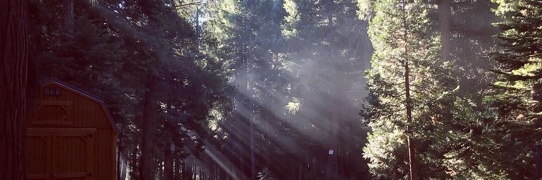 RobinPhx's profile banner image