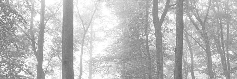 Madd_Hatter22's profile banner image