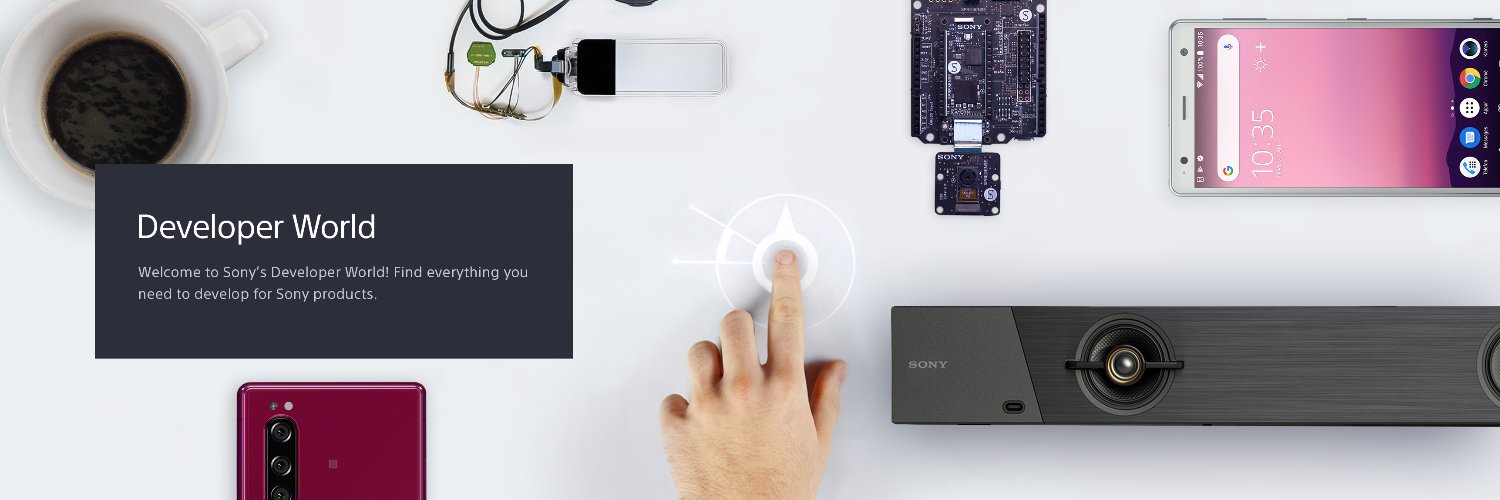 Sony - Developer World banner