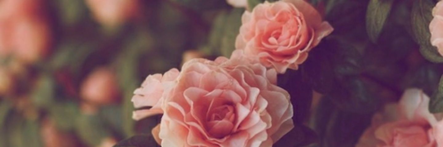 LakinMulkey's profile banner image