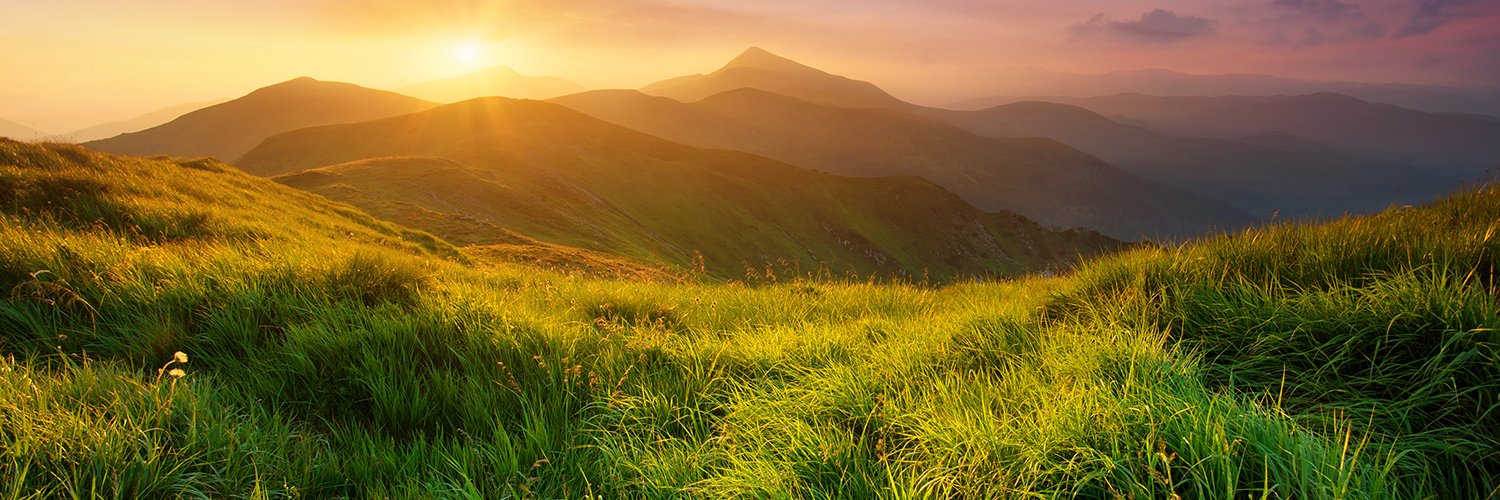 LifeonEarthInc's profile banner image