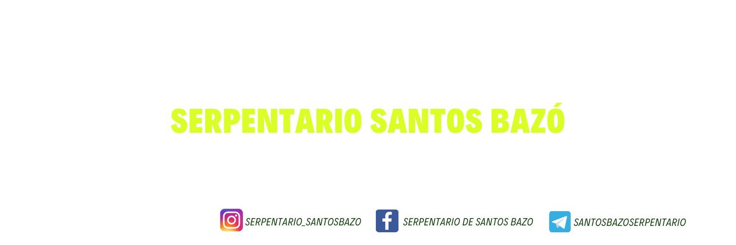 Serpentariocom's profile banner image