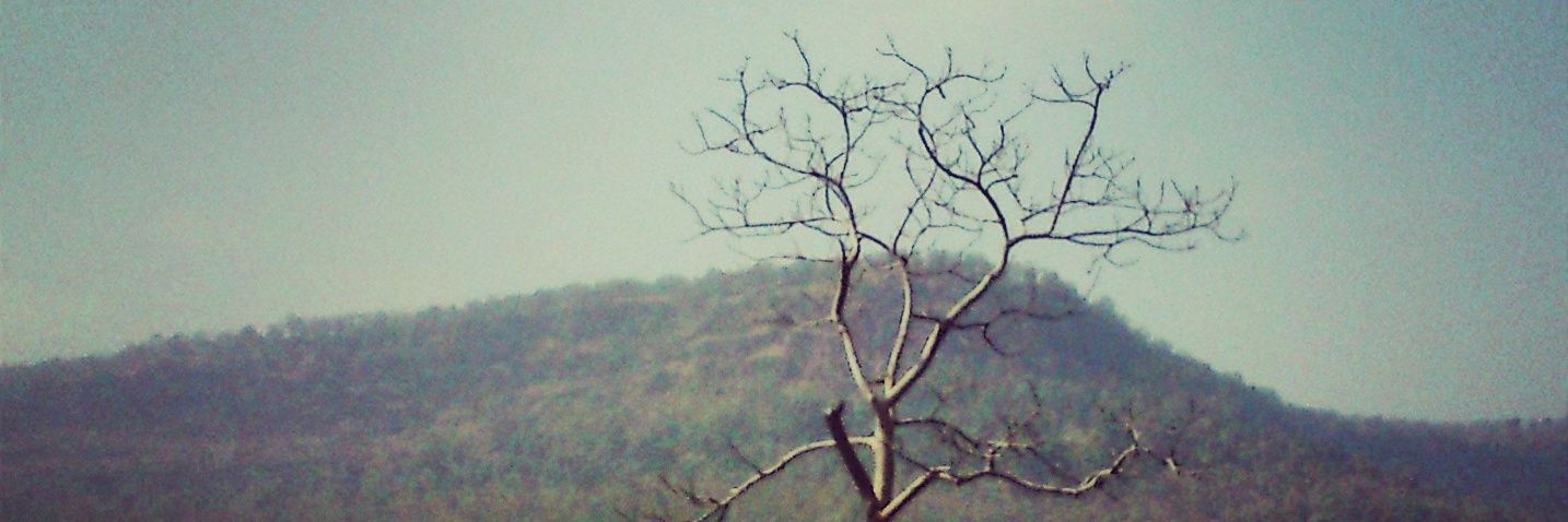 akmuhale's profile banner image