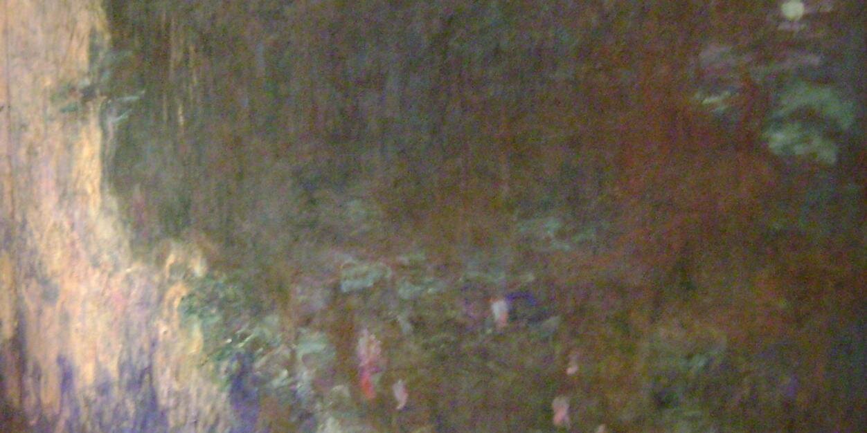 ColeHarbourStew's profile banner image