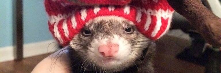 thespunta's profile banner image