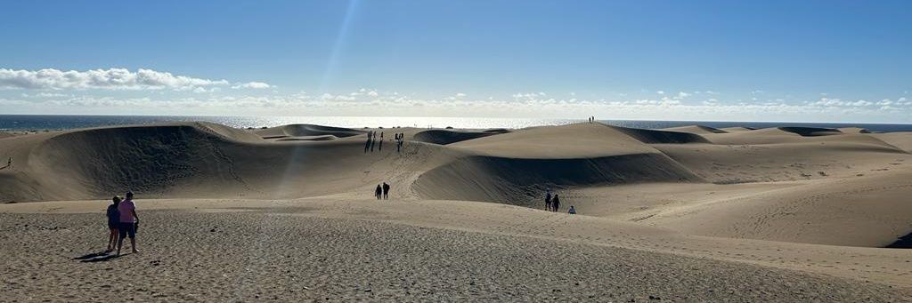 Carlos Valencia González banner