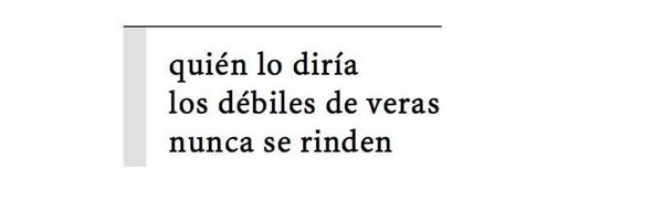 silviofalcon Profile Banner