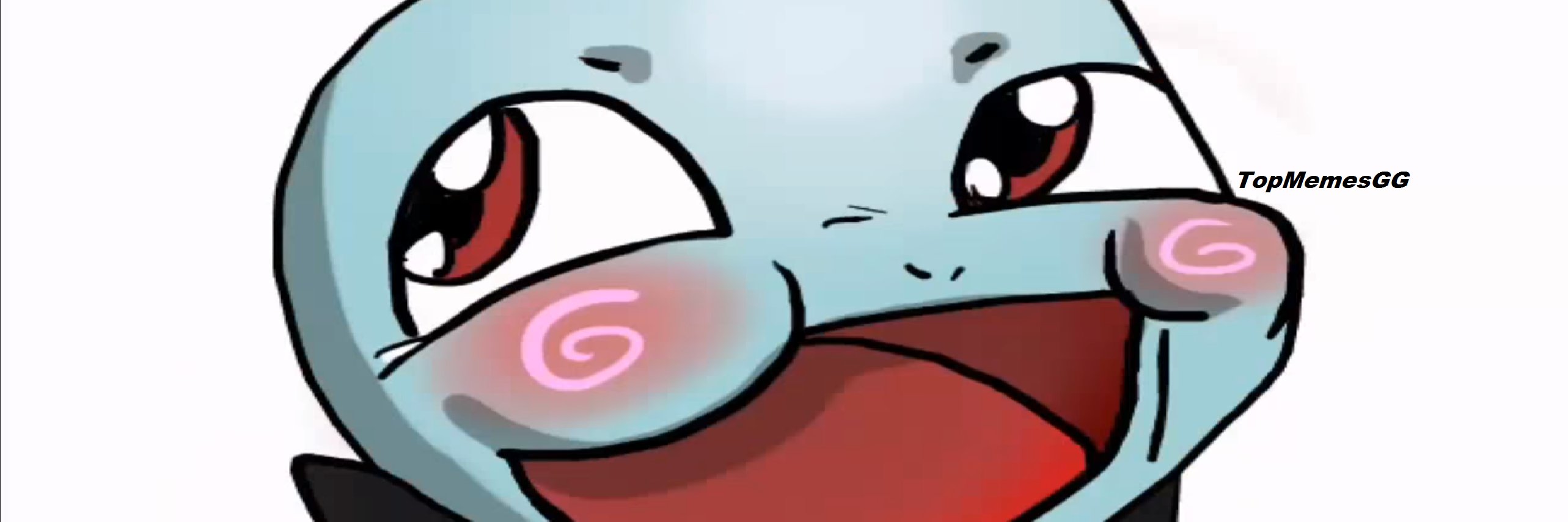 TopMemesGG's profile banner image