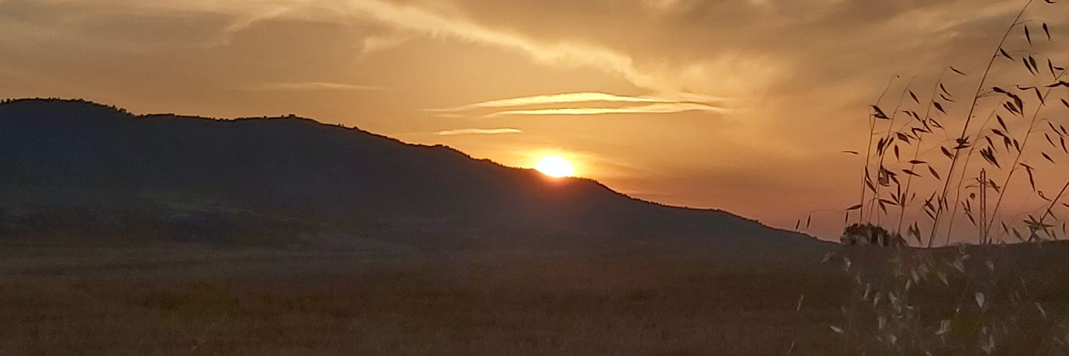 MontseVeG's profile banner image