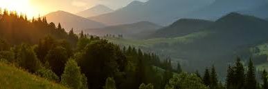 midmodiscounts's profile banner image