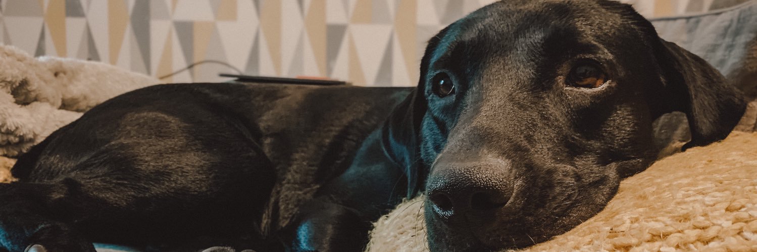 JennaaLeigh's profile banner image