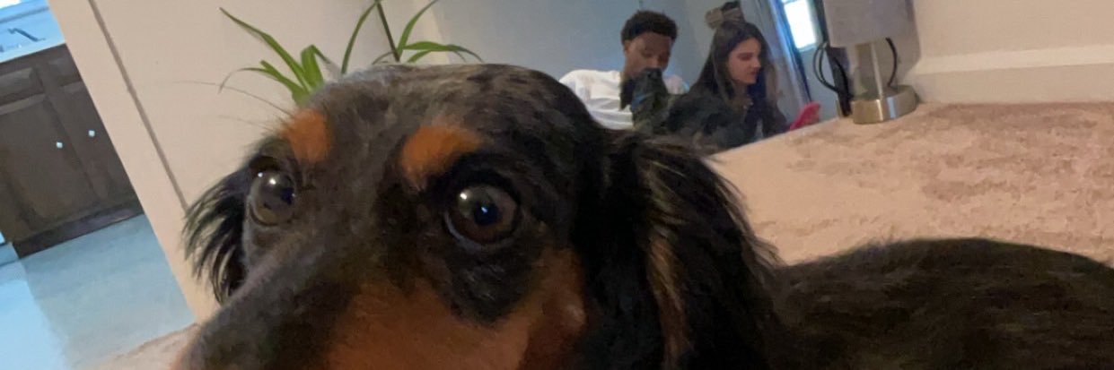 iBeJuh's profile banner image