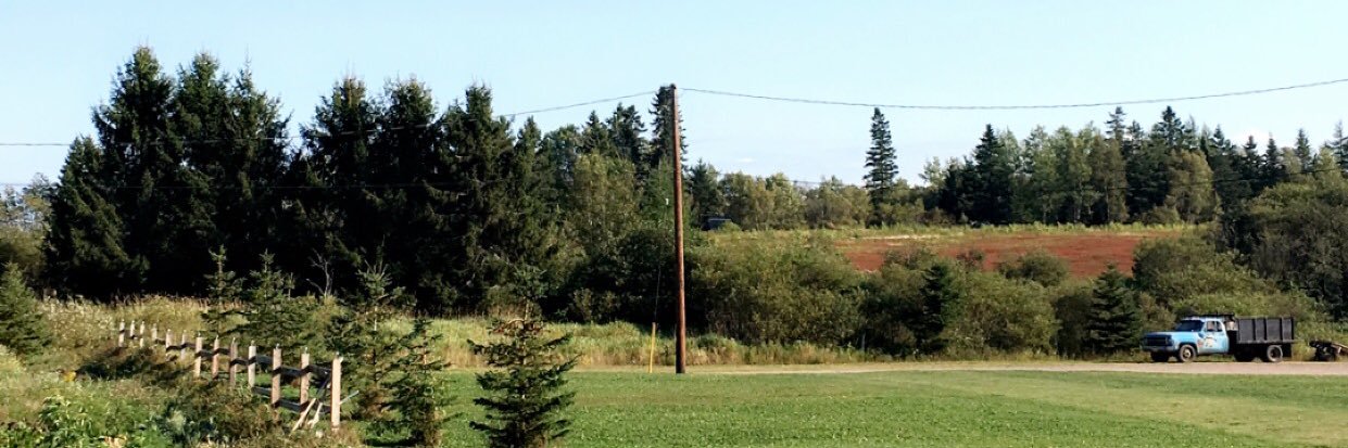 paxtonmacaulay's profile banner image