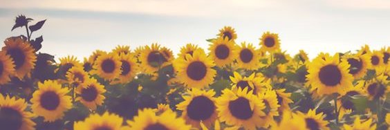 aleja_mateus's profile banner image
