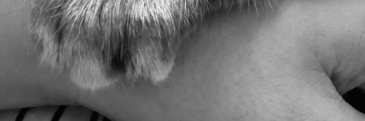 CelineSmt_'s profile banner image