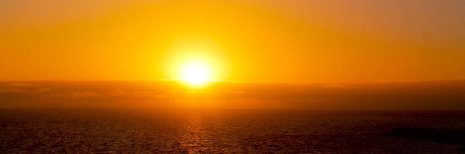 ErikaCarilli's profile banner image