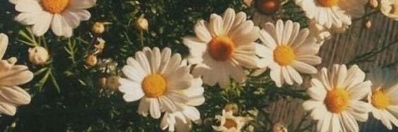 yolendive's profile banner image