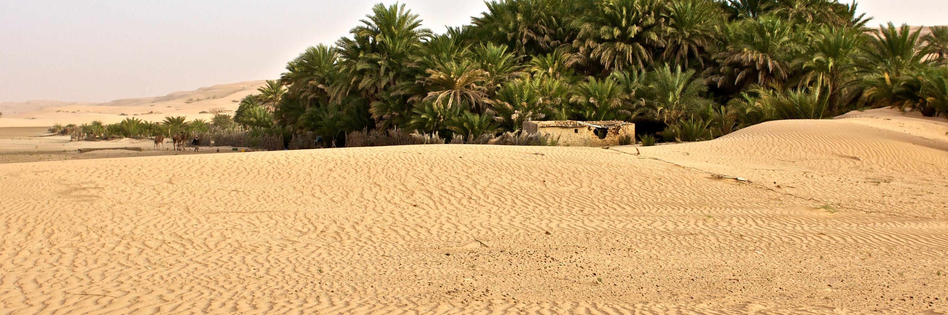 Chinguityvoyage's profile banner image