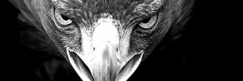 Ferhat7Pilase's profile banner image