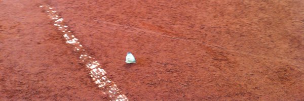 DorotaVi Profile Banner