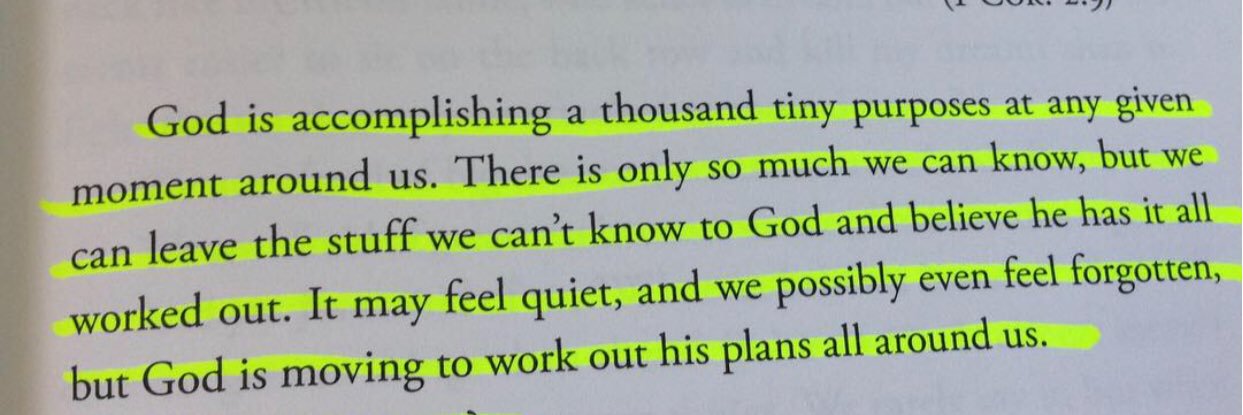 Shawn A. Hall banner