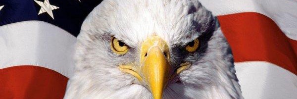 whosmurphy's profile banner image