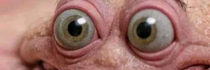 miaualmir's profile banner image