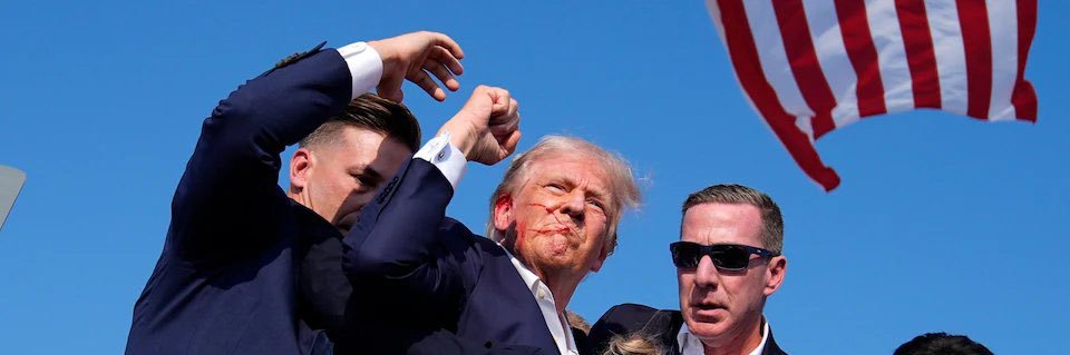 Zen Raindancer banner