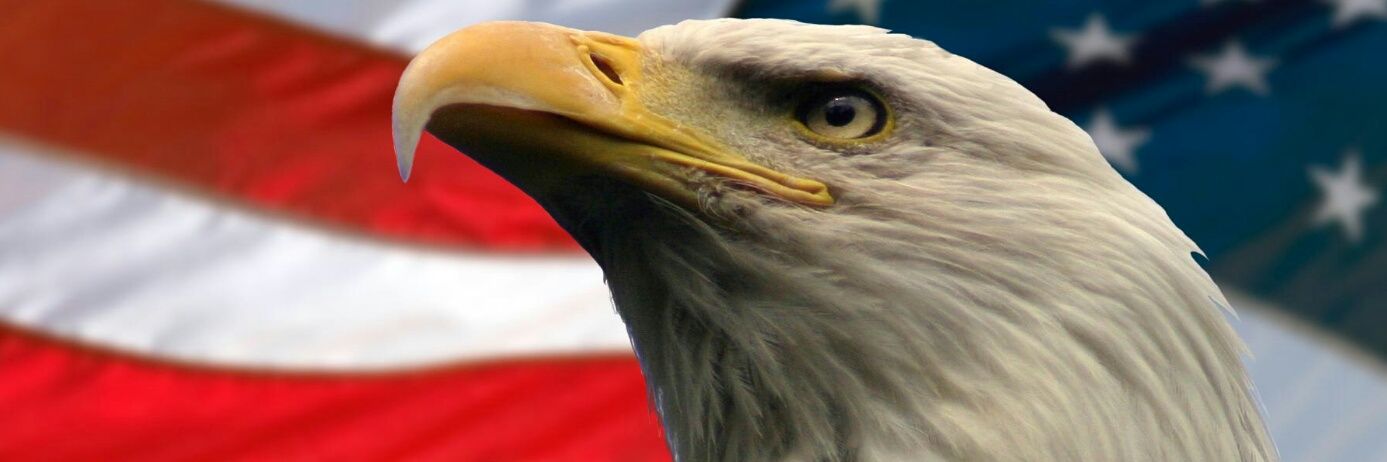 FlamingPie127's profile banner image