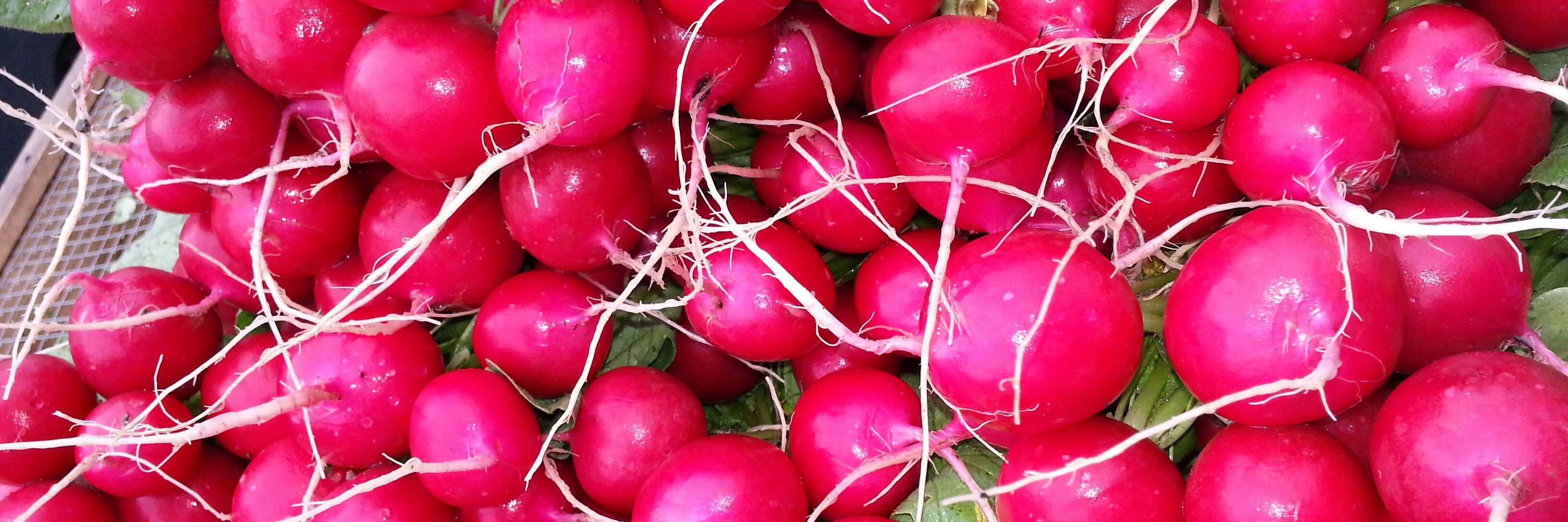 Annabel & Eric banner