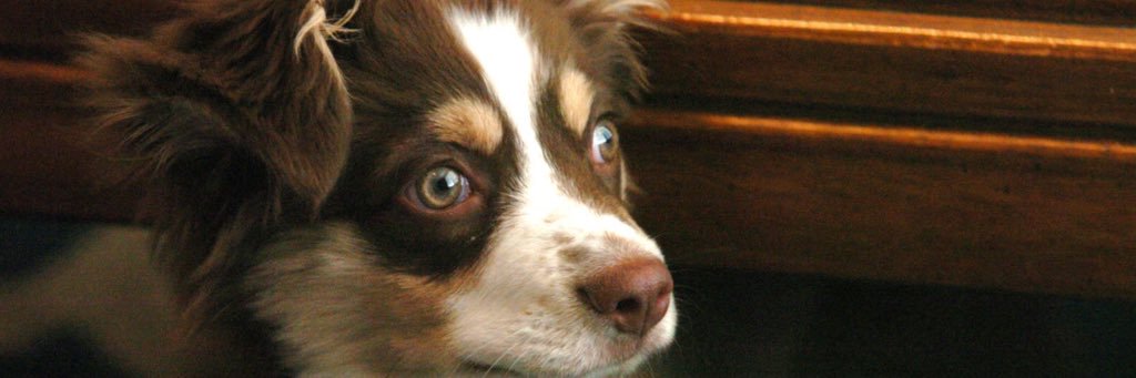 ColeTurbeville's profile banner image