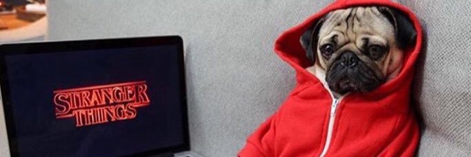EmCVelez's profile banner image