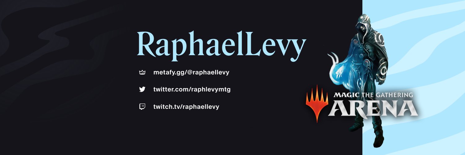 Raphael Levy banner