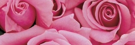 johnny_20100000's profile banner image