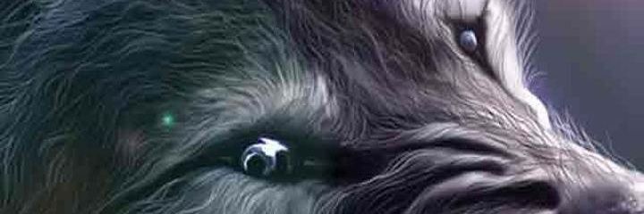 AngelDisney3's profile banner image
