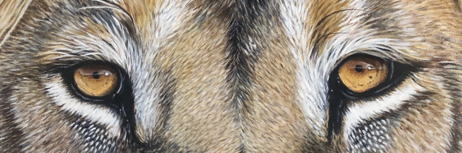 MJSavard's profile banner image