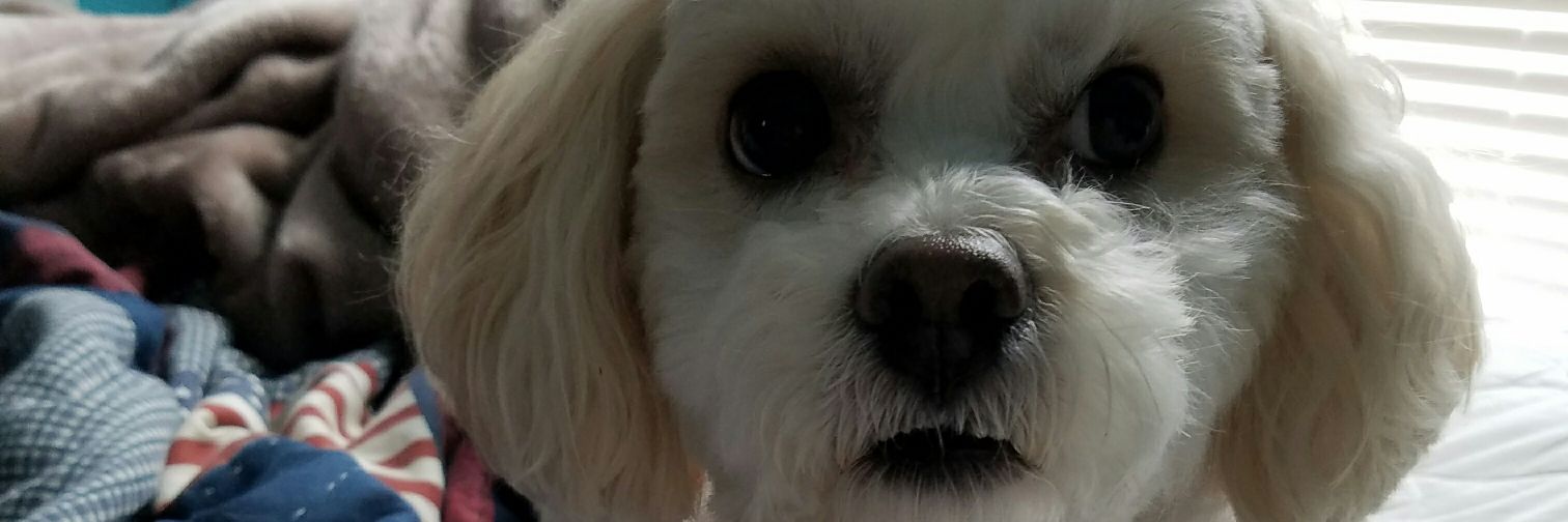 Kenzzieee4's profile banner image