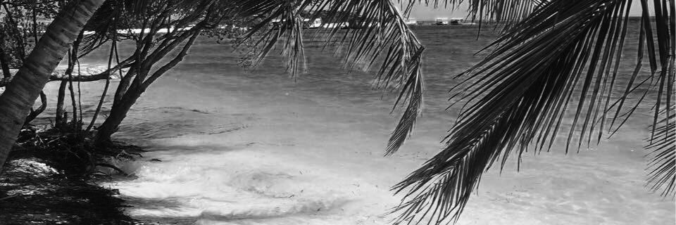 vharvey01's profile banner image