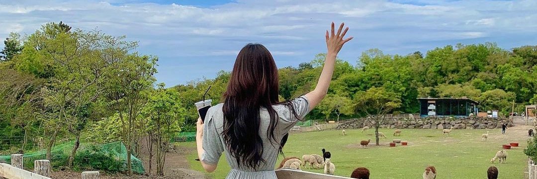 Facing the sun with determination banner