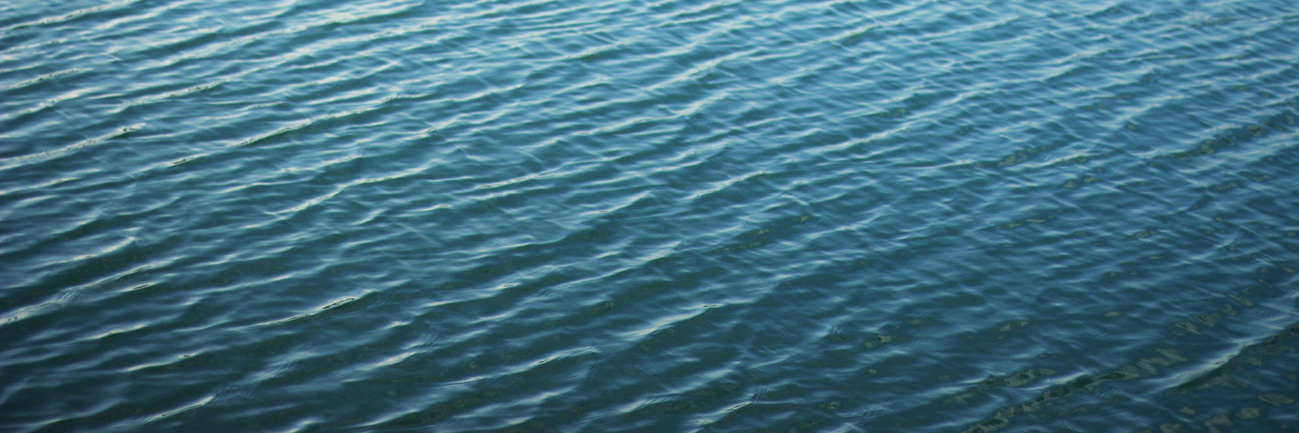 Sara25rod's profile banner image