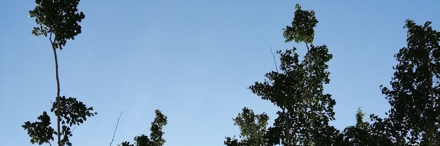 Chelcortes's profile banner image