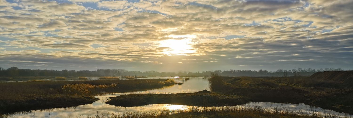 yorkshirebirder's profile banner image