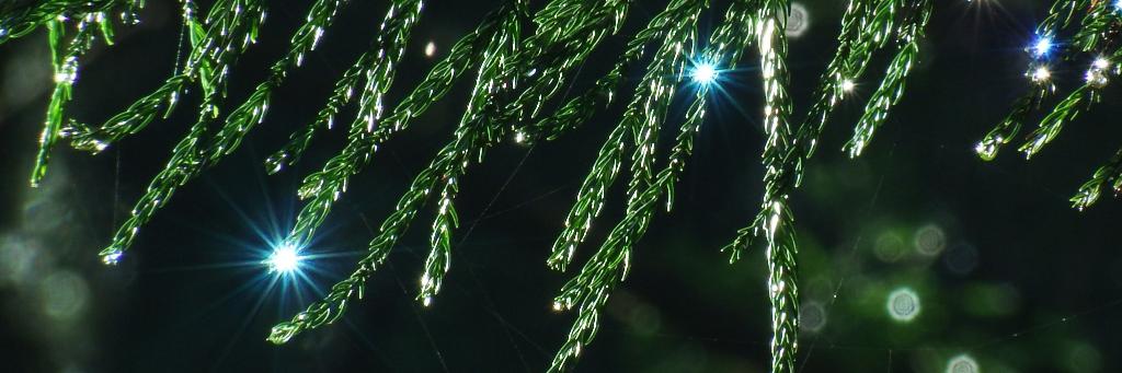 naosuke21036's profile banner image