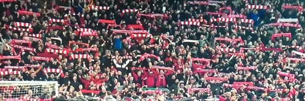 crowlink Profile Banner