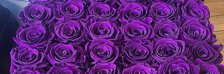 katdamn's profile banner image