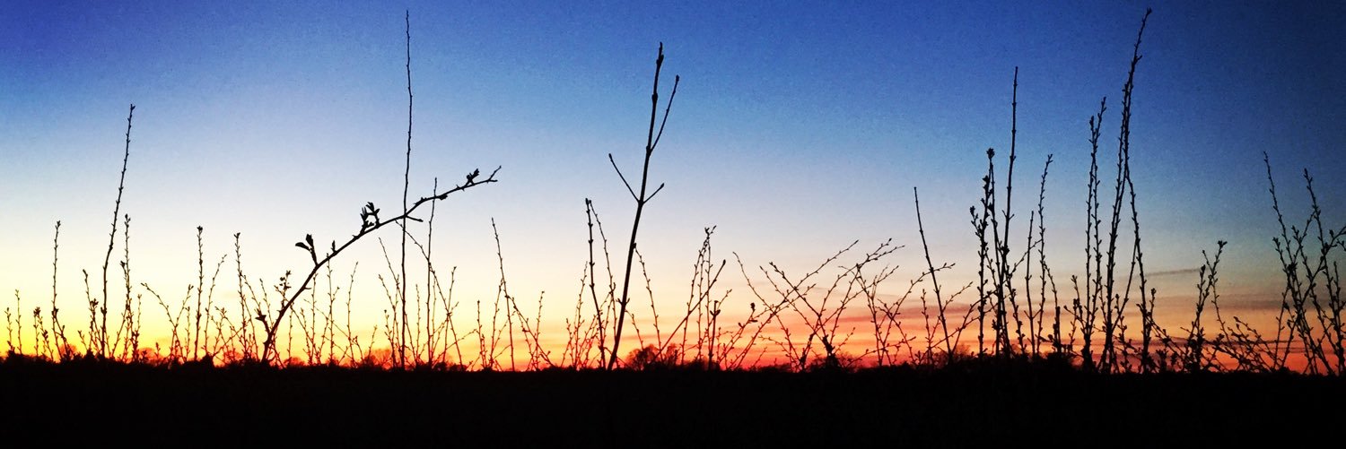 bryony_g's profile banner image